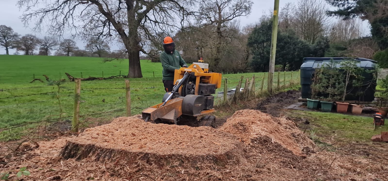 Tree stump removal in Hackney with professional stump grinder